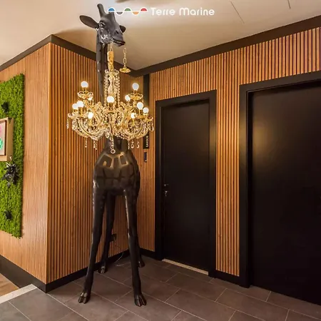 Jungle, Terre Marine Πανσιόν