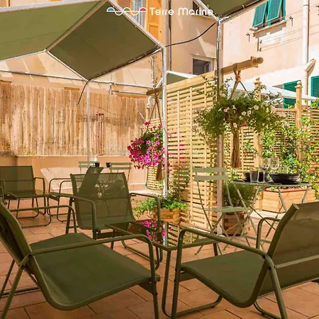 Jungle, Terre Marine Πανσιόν